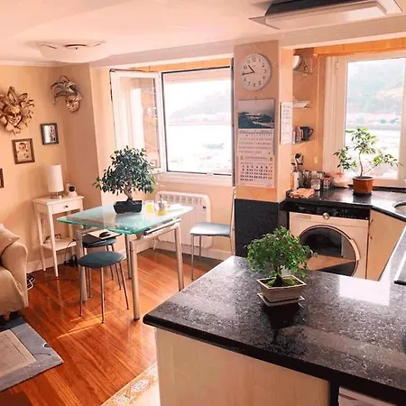 Casco Viejo Apartment Bermeo
